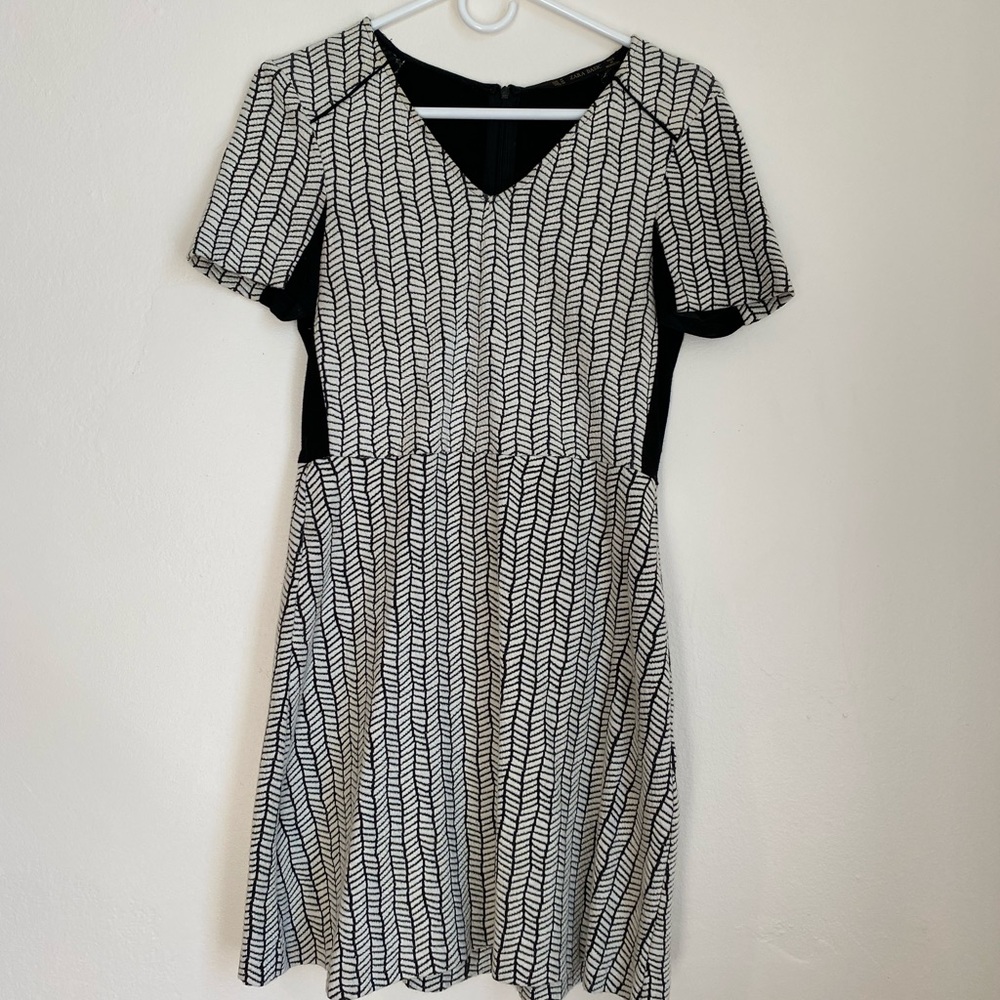 Zara Basic Black and White Zigzag Stripe Dress